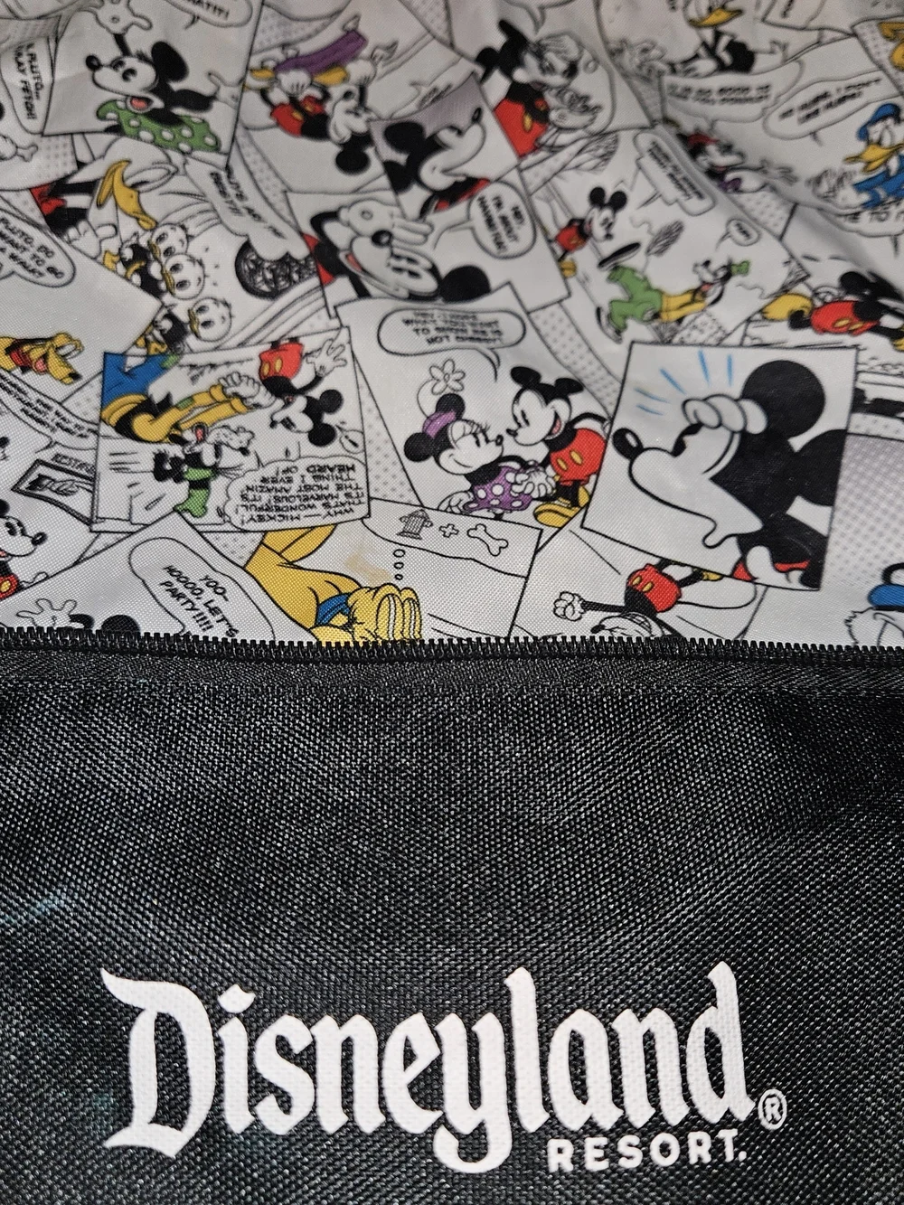 Disney this disneyland
